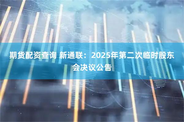 期货配资查询 新通联：2025年第二次临时股东会决议公告