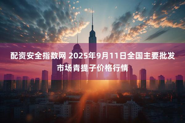 配资安全指数网 2025年9月11日全国主要批发市场青提子价格行情