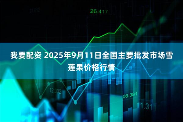 我要配资 2025年9月11日全国主要批发市场雪莲果价格行情