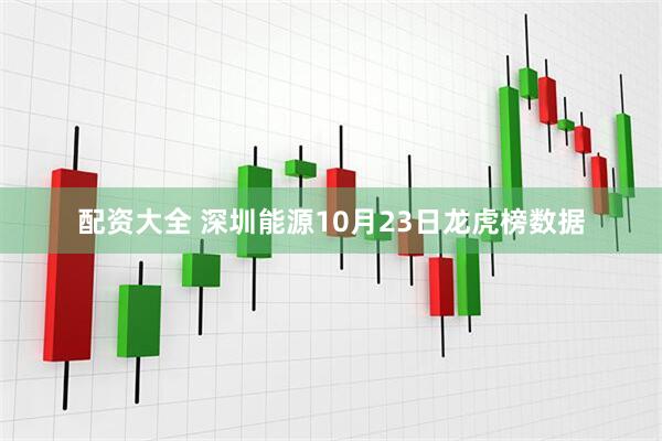 配资大全 深圳能源10月23日龙虎榜数据